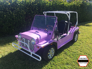 affordable golf cart rental, golf cart rent miami, cart rental miami