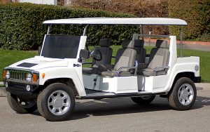 affordable golf cart rental, golf cart rent miami, cart rental miami