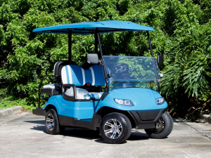 golf cars miami, golf cart rental, street legal golf cars