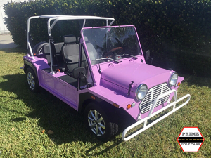 golf cart rental miami, miami golf cart rental, street legal golf car